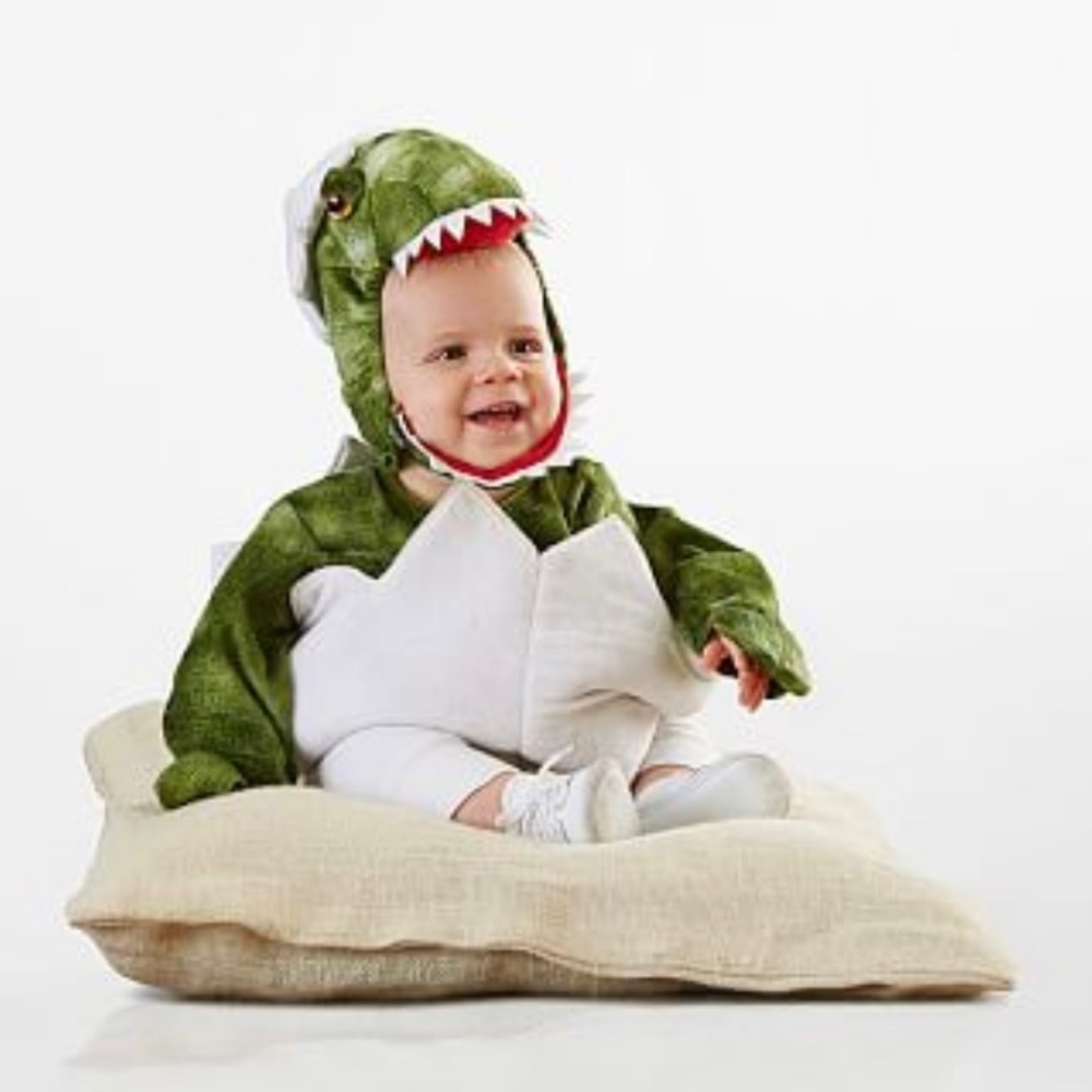 Pottery Barn Kids Egg Dino Costume 6-12m
